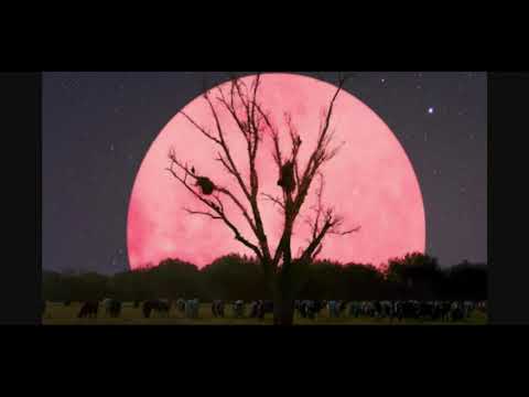 Pink Moon (Super Moon) April 26th