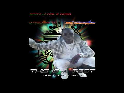 SB Remix "This is a Test" (Guerilla in Da Mix) by C#NN1PT!ON
