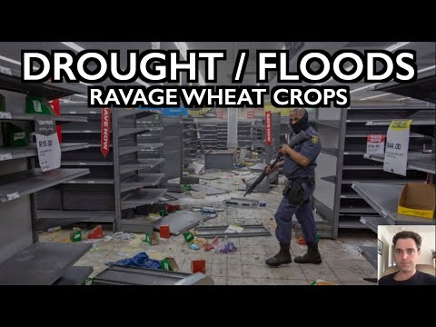 Global Wheat Supplies Short as Drought/Flood Ravage Crops & Supply Chain Falters