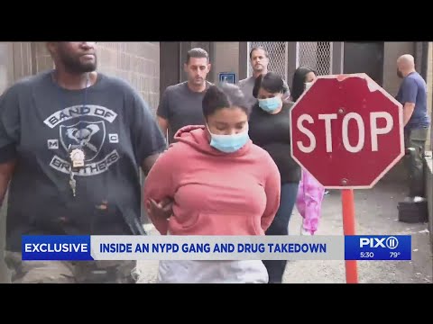 Latino Savages Arrested In NYPD Drug and Gang Member Takedown