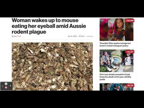 Aussie Woman Woke Up To A Mouse Eating Her ?