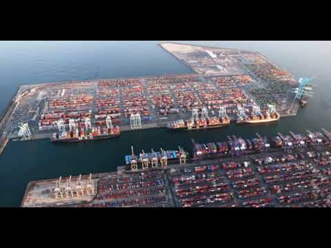 Supply Chain Halted At The Port of Los Angeles