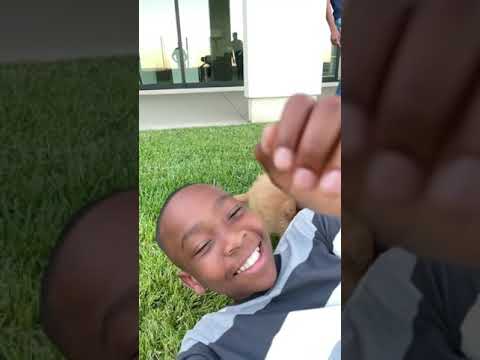 My son was attacked.