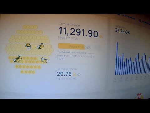 Honeygain Livestream (Passive Income)