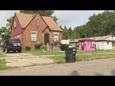 Support Detroit Elder Woman's Food Stand, Sits In Front Of Her Home On Detroit's Westside